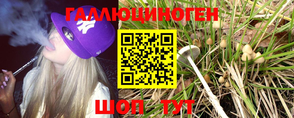 Кимовск  Псилоцибиновые грибы Psilocybine cubensis  Галлюциногенные грибы MAGIC MUSHROOMS  Вход с VPN 