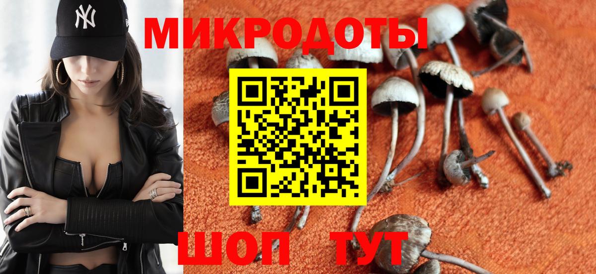 Псилоцибиновые грибы мухоморы Кимовск
